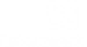 Logo Intersnack