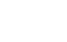 Logo Iridis