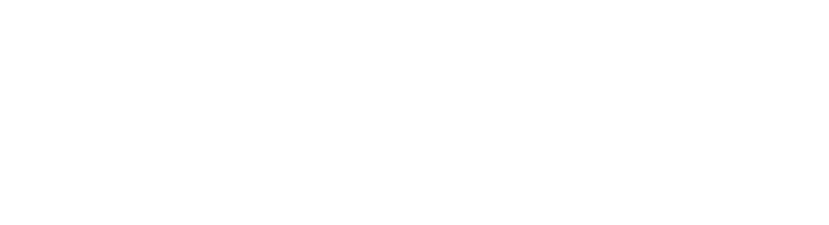 Logo SKF